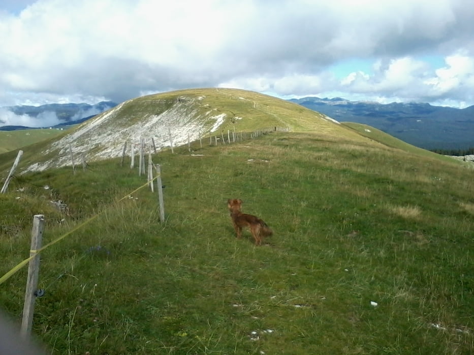 Escurs.Monte Fior-Malga Melette