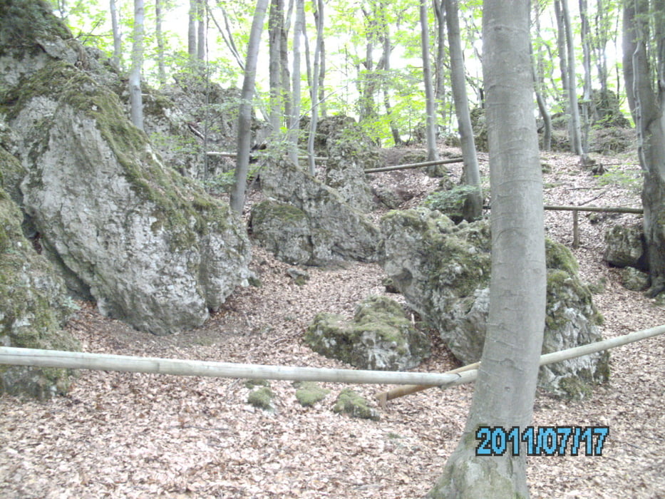 Kinderwanderung - Naturlehrpfad Hohenstein