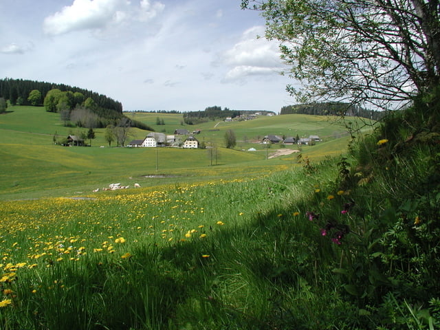 Bänklerundweg mit Blick auf den Titisee und den Feldberg