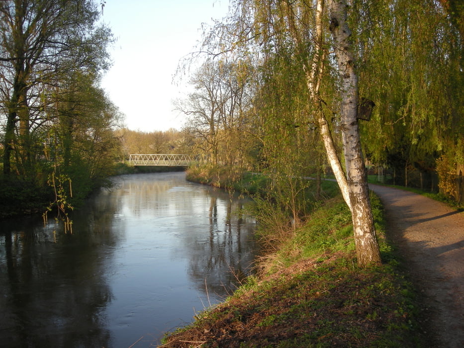 Bahndamm nach Rommerskirchen