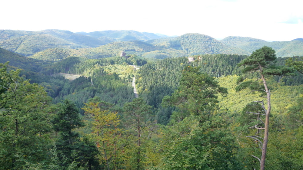 Tothweiler Burgentour 20km