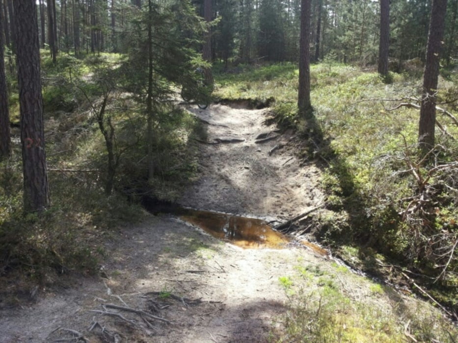 Trails um Kalchreuth und Heroldsberg