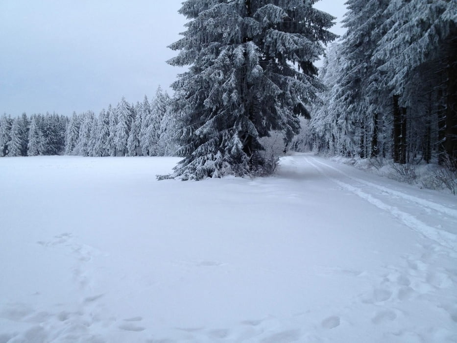 Hoherodskopf Höhenweg Extended