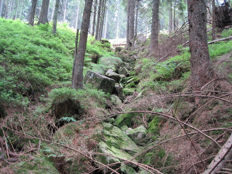 von Hohritt auf die Hornisgrinde