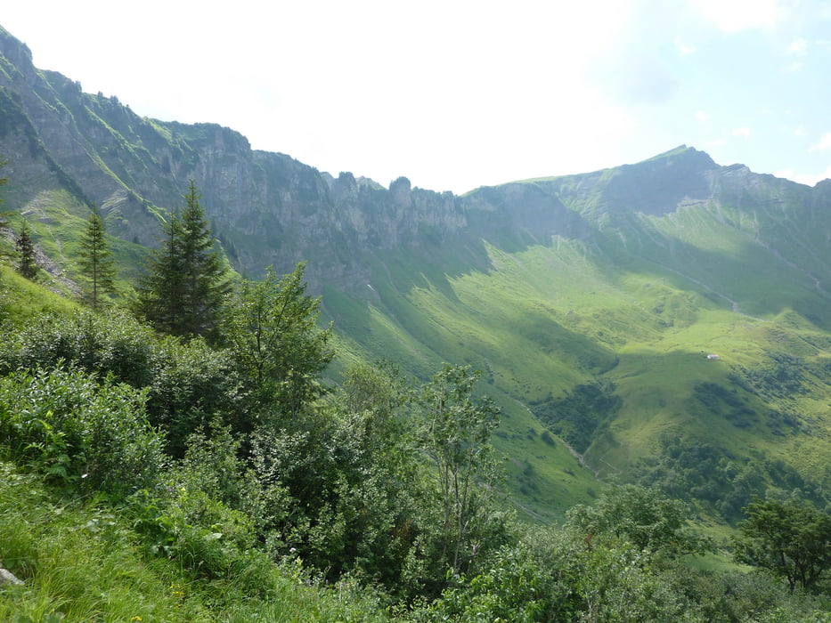 Schoppernau - Diedamskopf Bergstation (Osterguntenalpe - Schönenbach - Kreuzle)