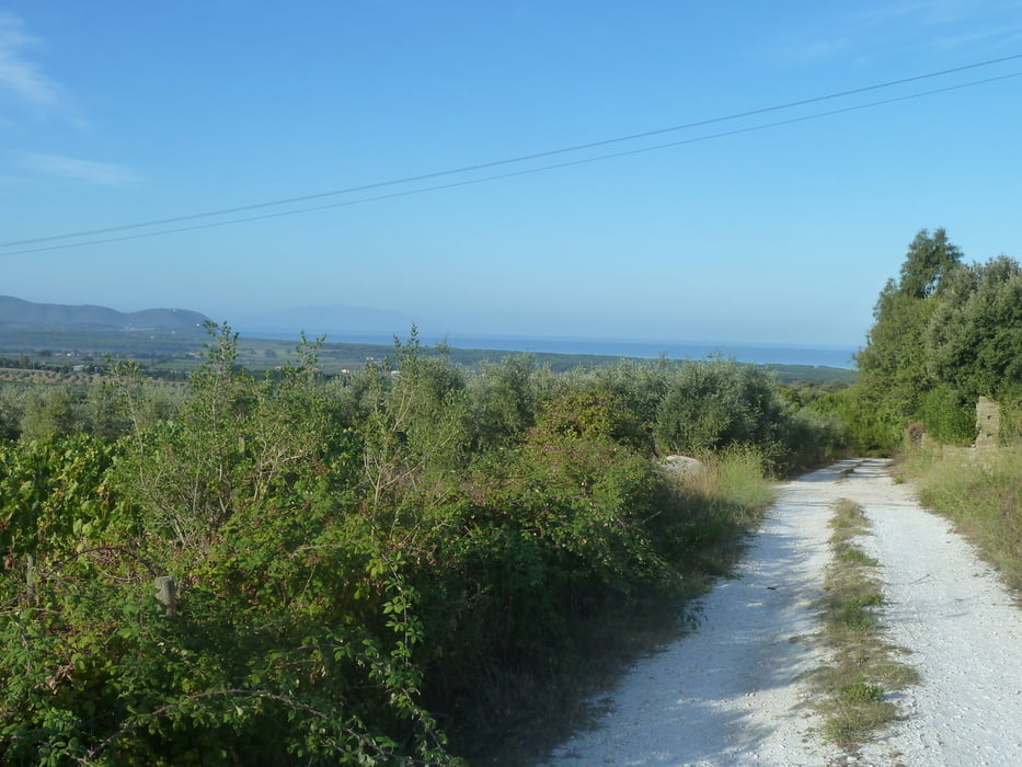 San Vincenzo - Il Ginepro