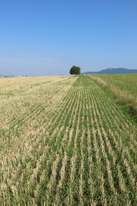 17/2024.Prechod Golianovo-Nitra