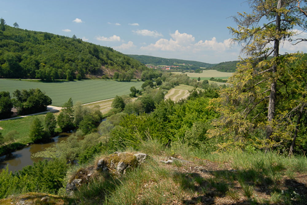 leichte Variation des 60km MTB Arberradmarathon