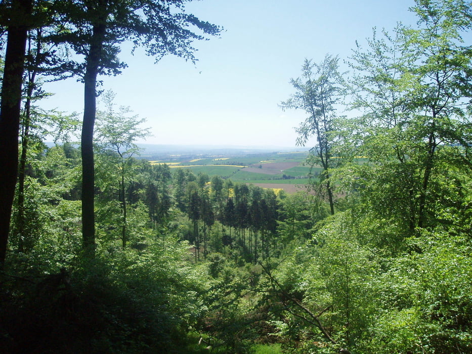 Ahlsburg_bei_Einbeck_Ost