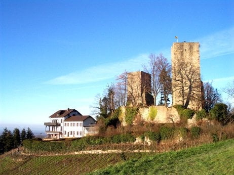 Neusatz Hundseck Lauf Runde