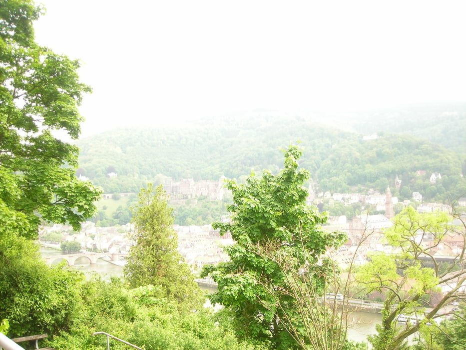 Heidelberg- Weißer Stein- Ölberg- Heidelberg