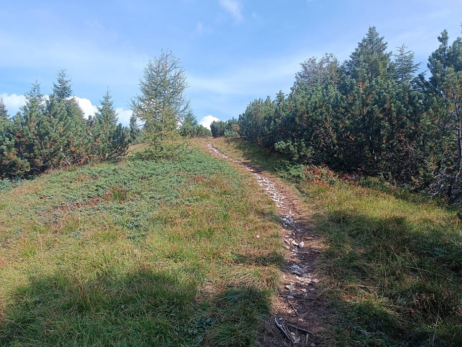 Escursione a Cima Larici Asiago (VI)