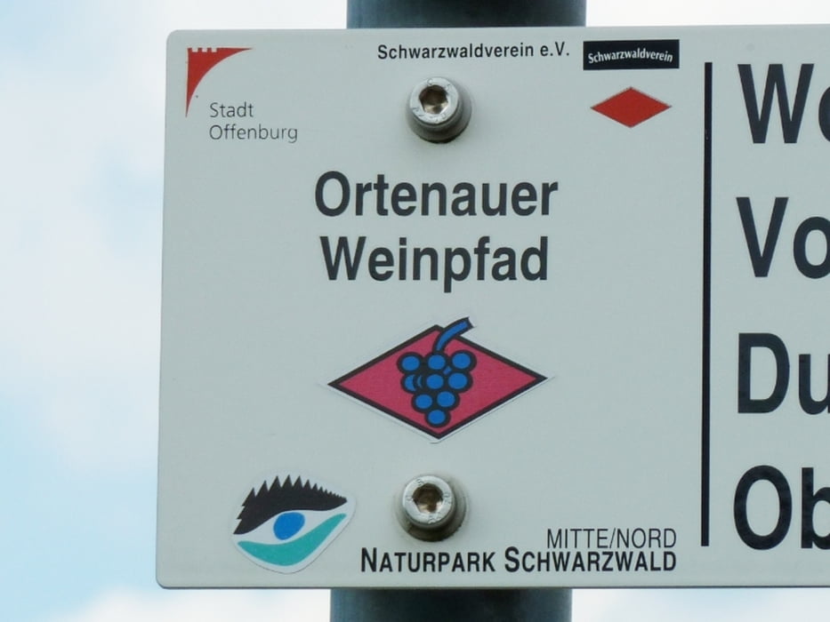 Auf dem Ortenauer Weinpfad von Oberkirch nach Offenburg