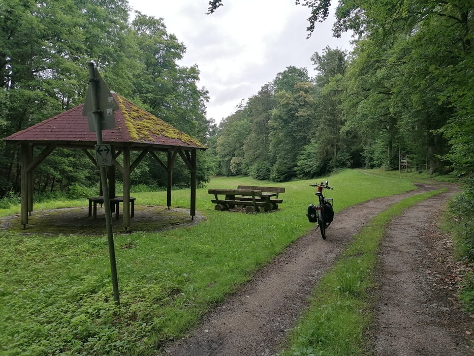 662. Hirschenbühl, Bahndammradweg zum Regen, Goldstieg zum Neubäuer See und Burgruine Lobenstein