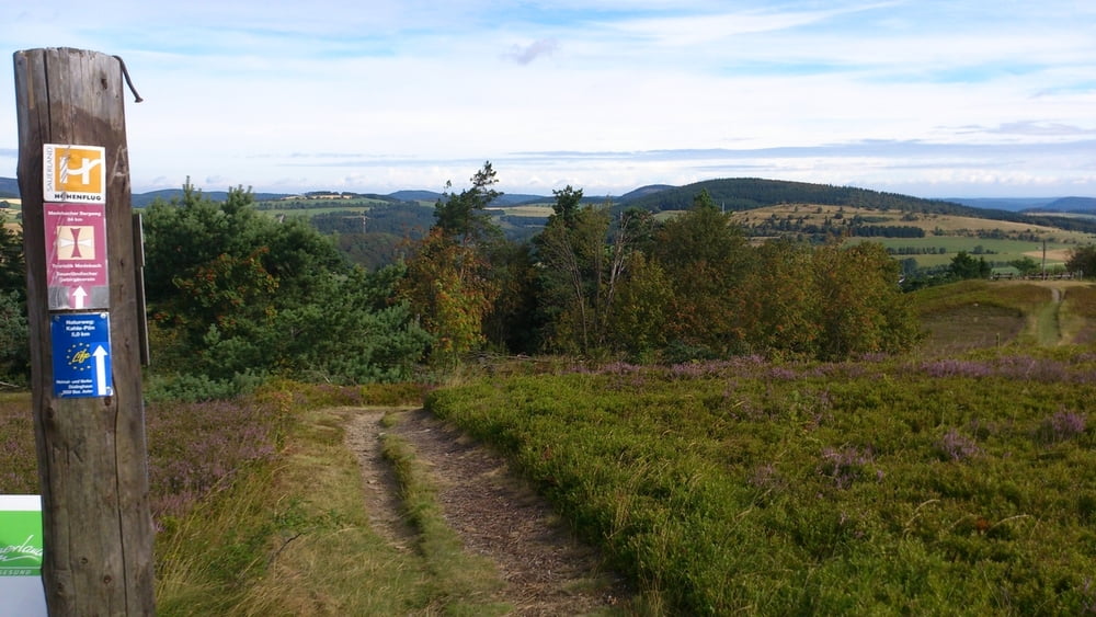 Kahle Pön und Hochheide - Willingen