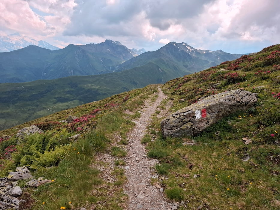 Zell a.Z.-Innsbruck 240718 (5. SVTV 2024)