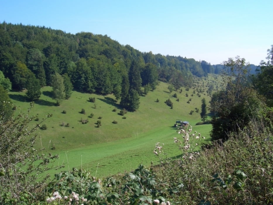 Von Münsingen nach Trochtelfingen und zurück