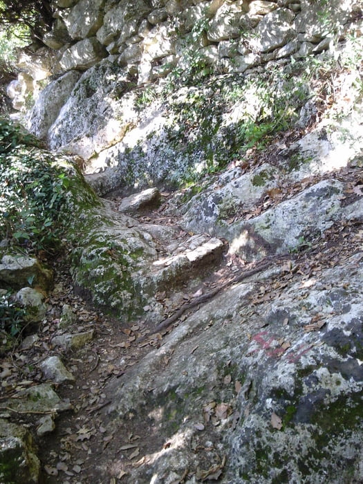 Pietra Ligure - San Bernandino - Calvisio - Orco - val Nava - Le Manie - Finale Liguere - Pietra Ligure