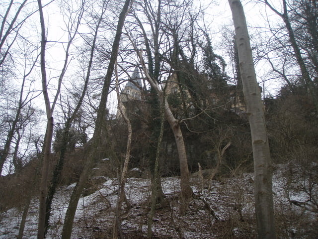 Im Januar 2009 in die Pähler Schlucht