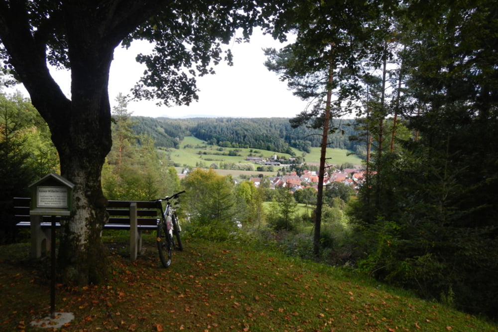 Kreuz und Quer durch den wald 1