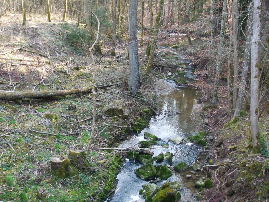 Unterwegs im Aichtal und dem Neckar entlang