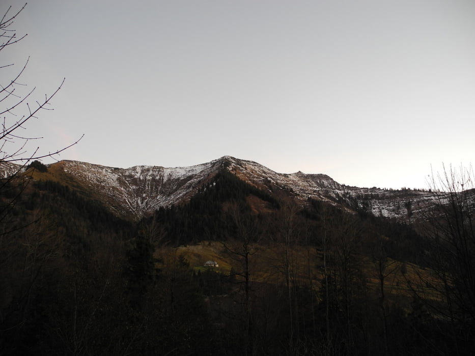 Dornbirn - Bezau (Salzmann, Rudach, Rohralpe, Schnellvorsäß)