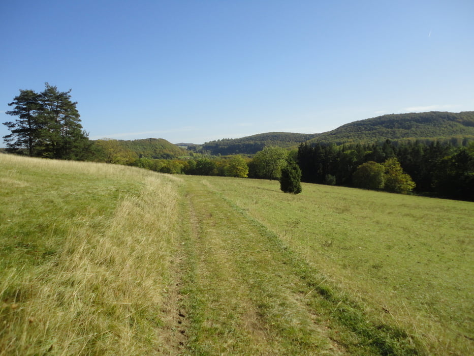 Gomaringen rund um den Roßberg 8