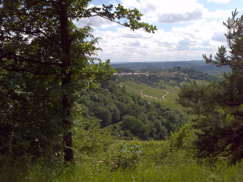 Esslingen - Kappelberg Tour