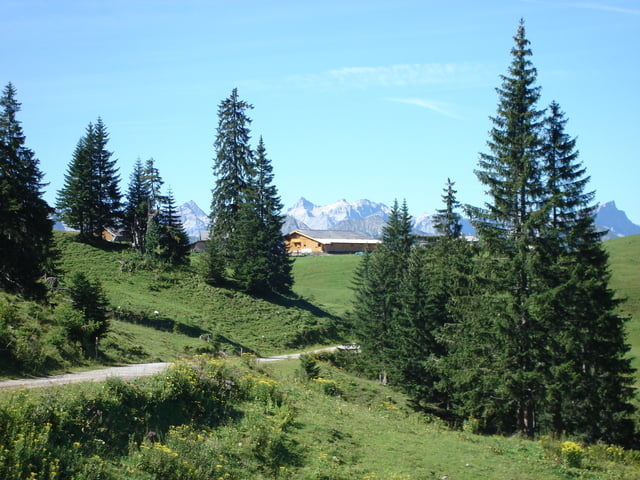 Achenwald Rotwandhütte Schleimssattel Pertisau