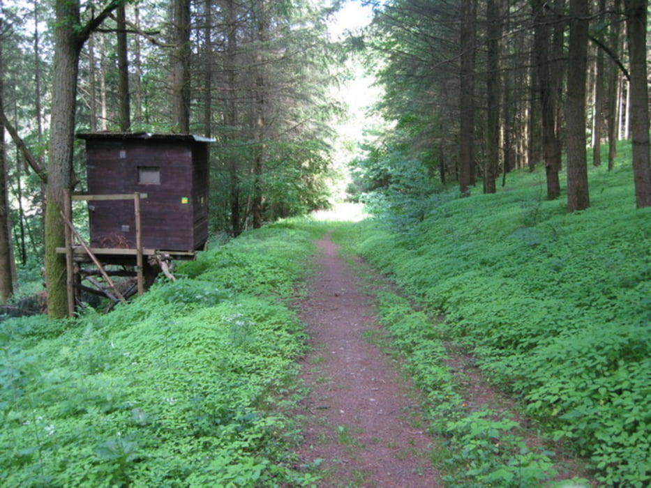 Günstbergumrundung