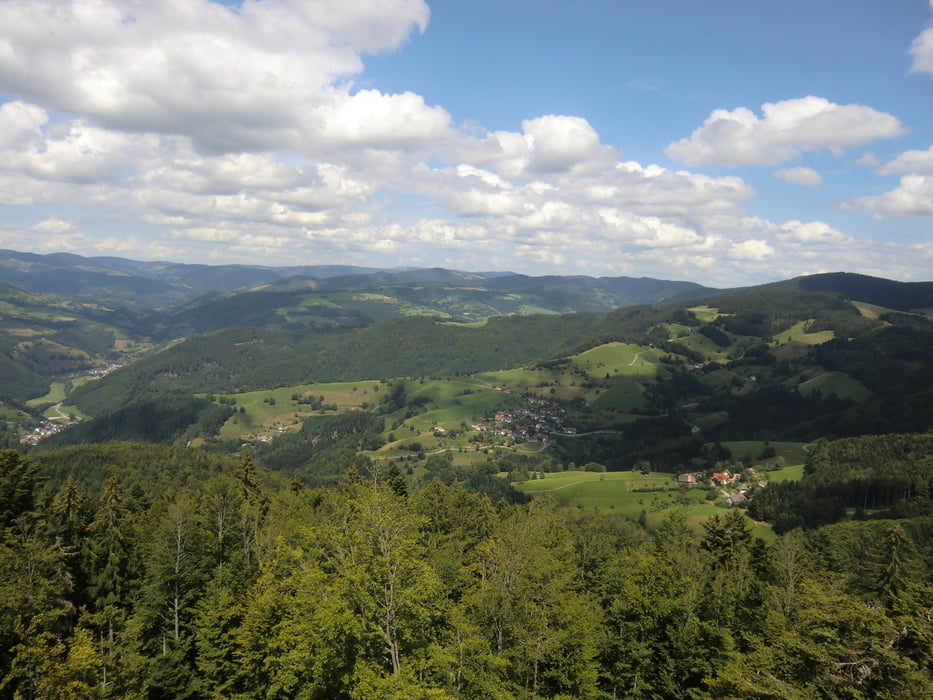 Westweg Feldberg - Rheinfelden (3T)