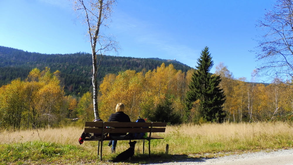 Rund um Bayr. Eisenstein