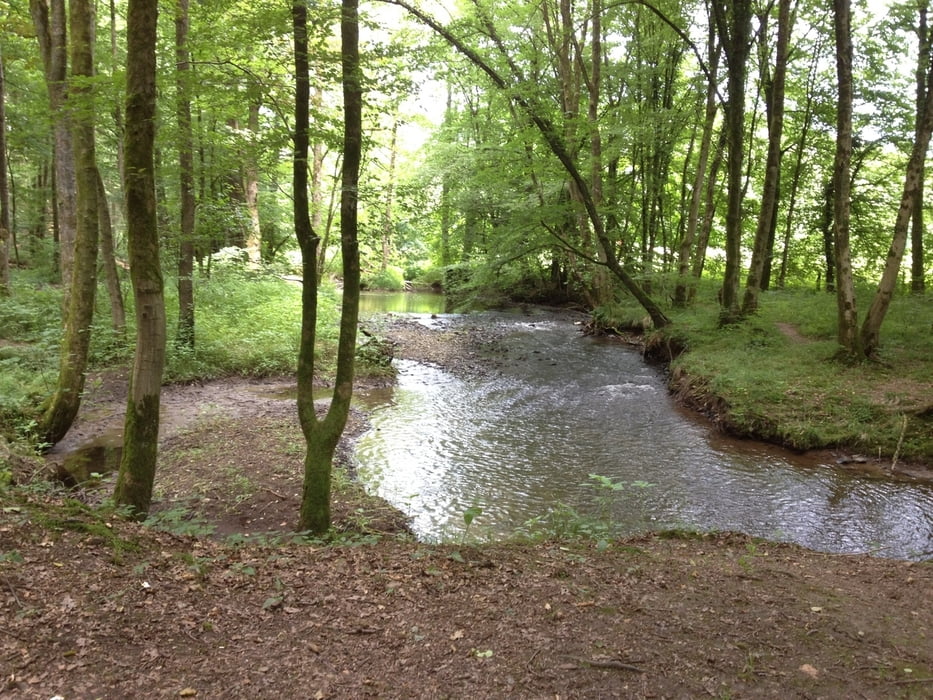 Altenberg-Wasserroute