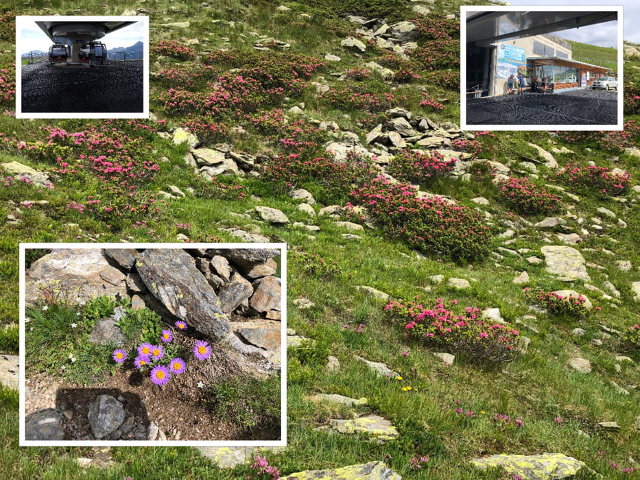 Ultental XI - Bike-Bahn-Hike-Schwemmalm-Mutegg