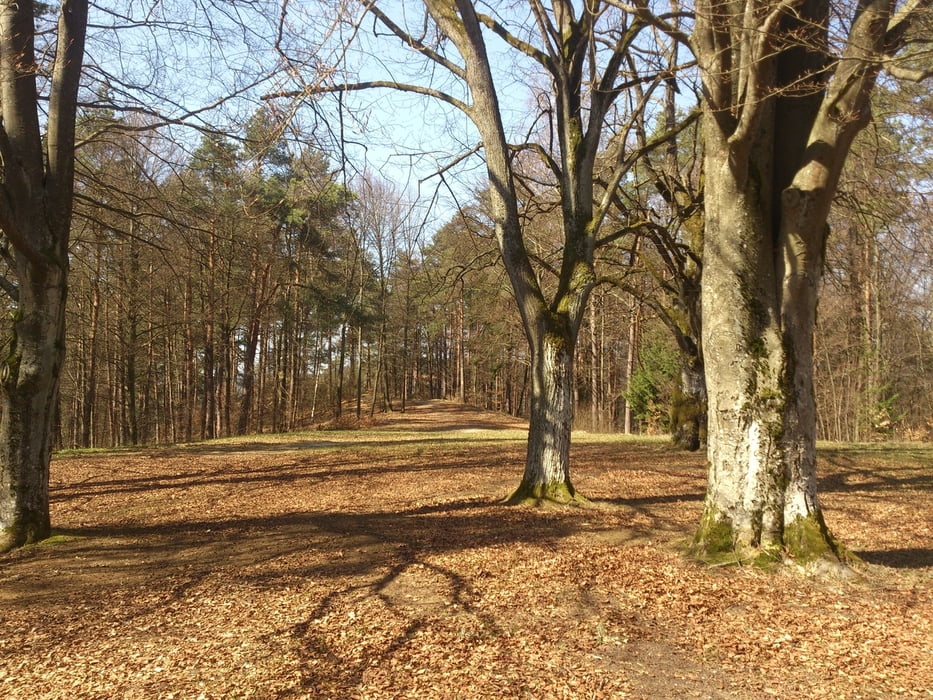 Kurzer Rundweg um Plech