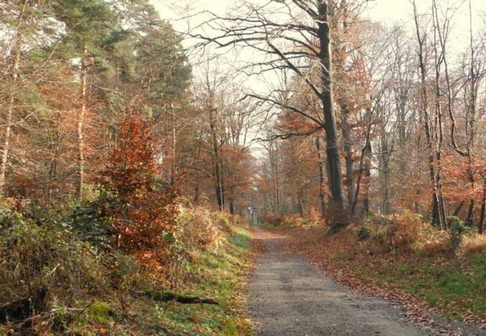 Ruine Löwenburg + Ofenkaulentrail