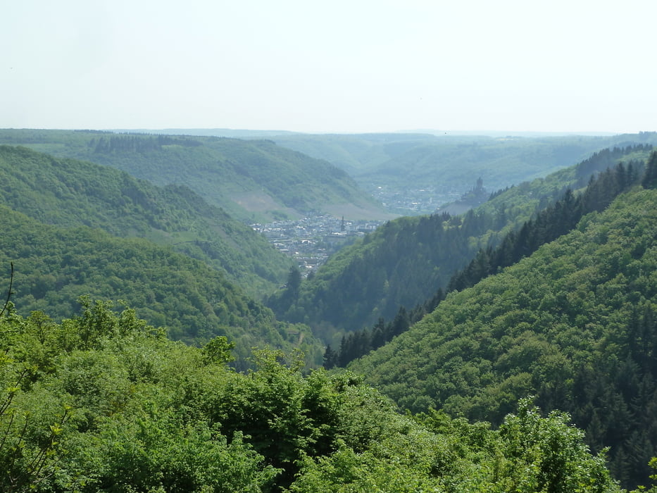 Zur Winneburg aus Rother Wanderführer -Eifel- Nr. 43