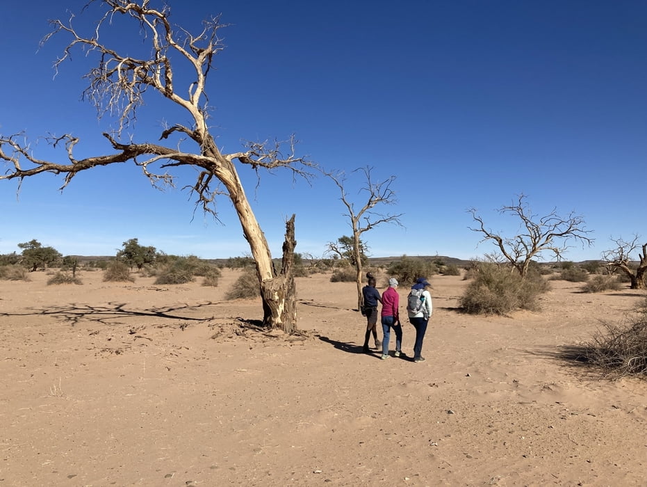 Wanderung beim Kalkofen