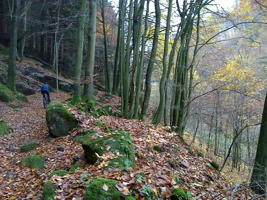 Taubensuhl-Hofstätten-Annweiler Forsthaus-Annweiler