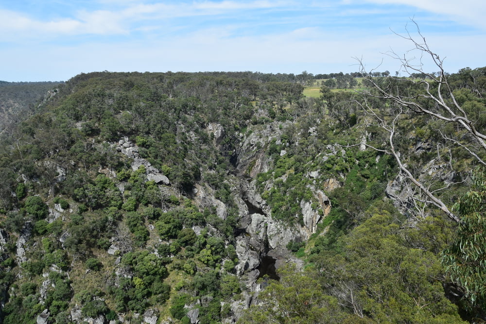 Dorrigo NP - Wonga Walk bis Crystal Shower Falls