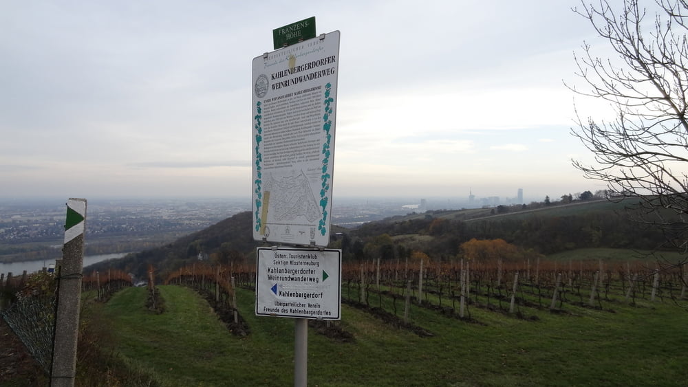 Weinwanderung Kahlenbergerdorf