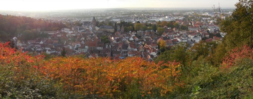 Weinheim sürdlich der Wachenburg