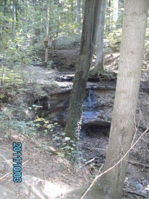 Kinderwanderung - Moritzberg inkl. Wasserfall