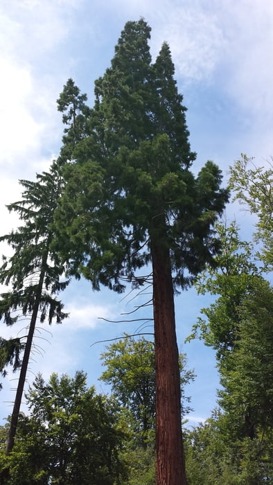 Reichenbach nach Baach und Manolzweiler