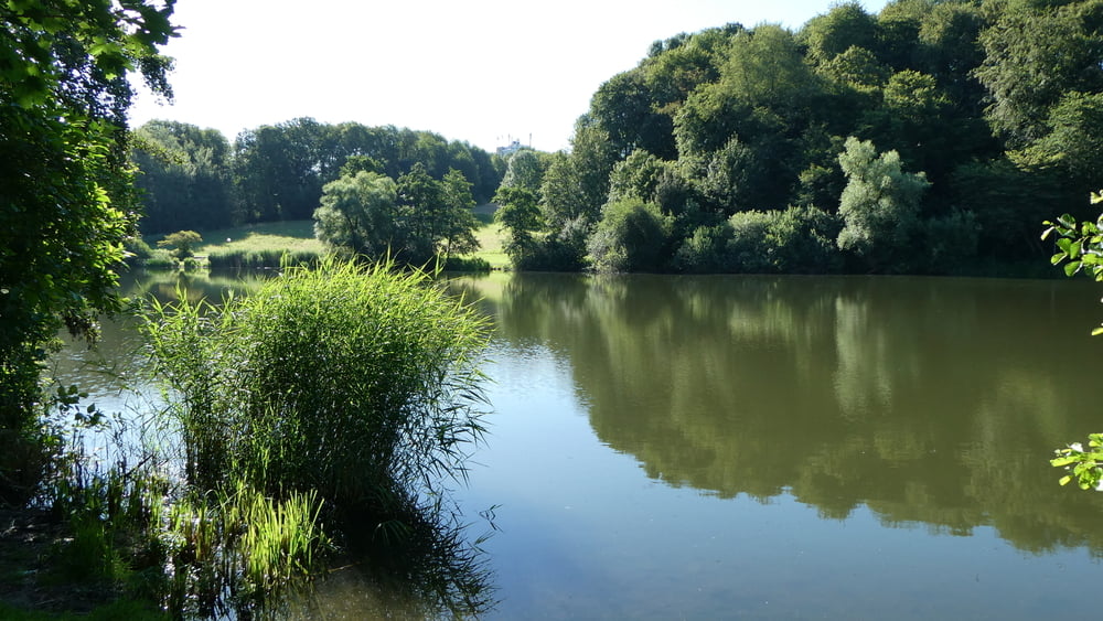 Am Leimbach entlang