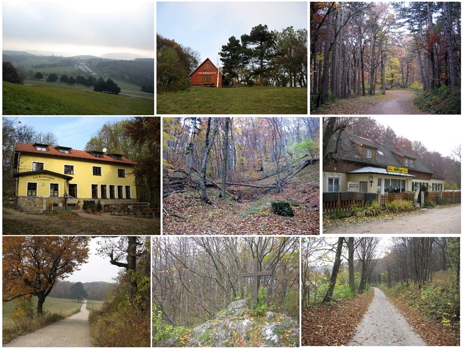 Gießhübl - Hans Nemecek Hütte - Luisenquelle - Großer Sattel - Seewiese - Kugelwiese - Mitterberg - Wassergspreng