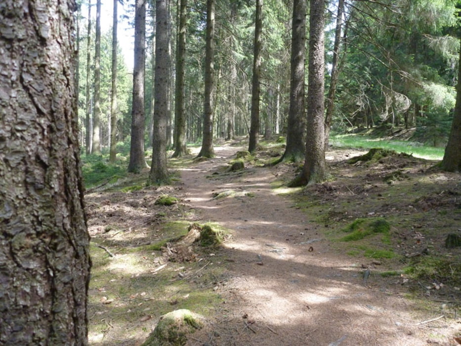 Neheim und Hellefelder Höhe