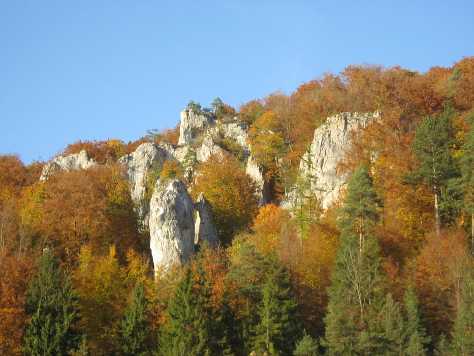 Sontheimer Höhle