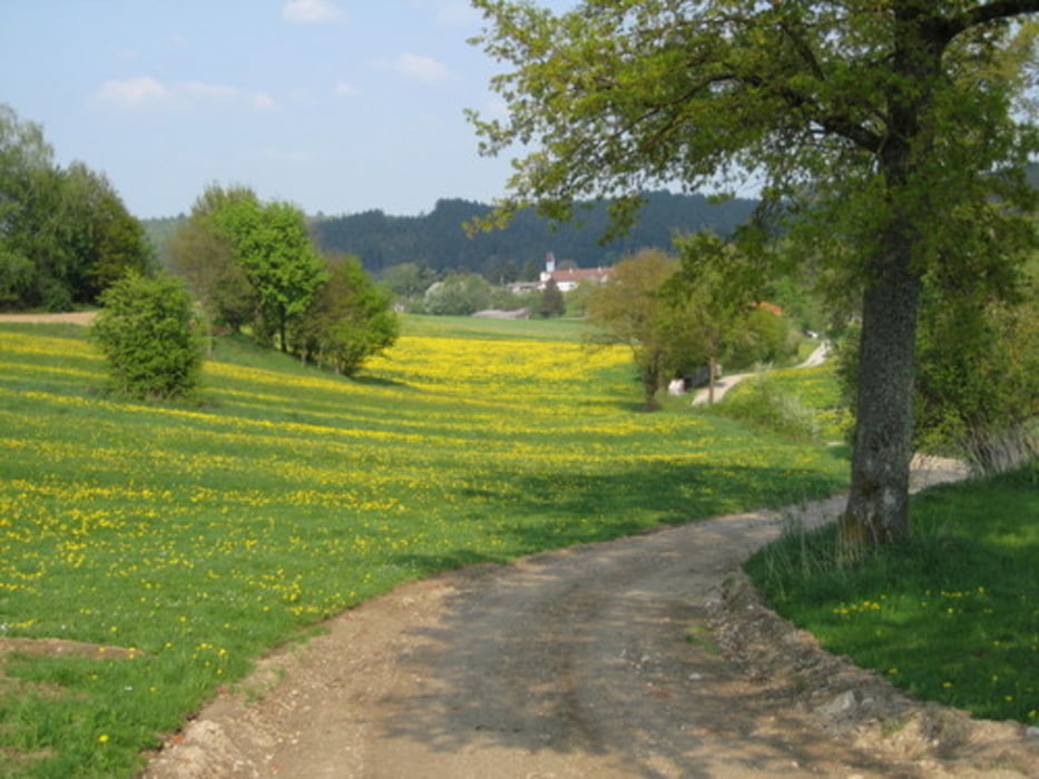 Westliche Wälder Biergartentour