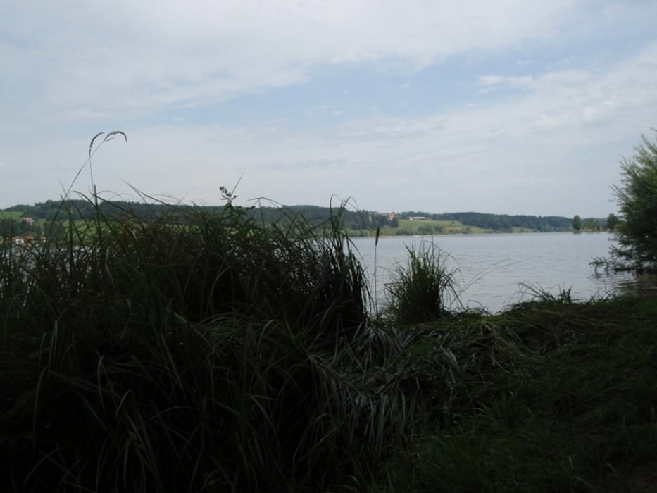 Bodensee-Traunstein (Bodensee-Koenigsseeradweg)